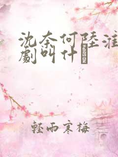 沈奈何陆淮舟短剧叫什麼