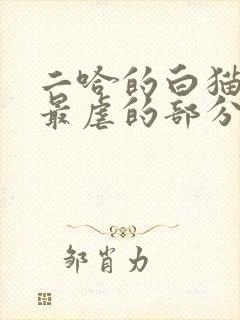 二哈的白猫师尊最虐的部分