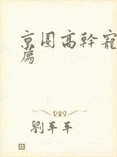 京圈高干宠文推荐