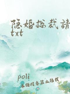 隐婚总裁请签字txt