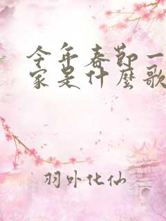 今年春节一定回家是什么歌