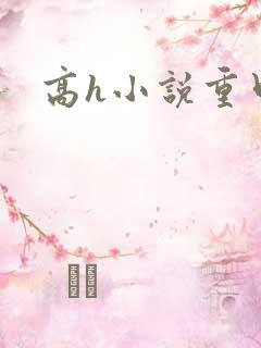 高h小说重口