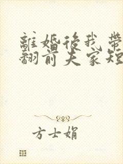 离婚后我带娃虐翻前夫家短剧好看的