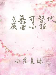 《无可替代》的原著小说