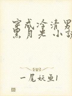 穿成冷清男主的黑月光 小说