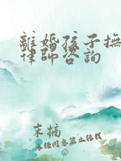 离婚孩子抚养权律师咨询