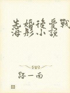 先婚后爱战胤和海彤小说