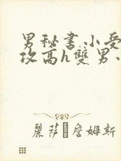 男秘书小受引诱攻高h双男小说
