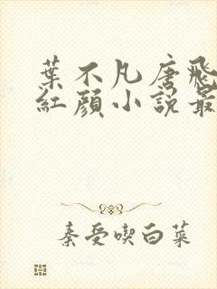 叶不凡唐飞雪宋红颜小说最新章节