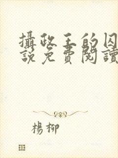 摄政王的囚凰小说免费阅读