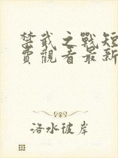 禁武之战短剧免费观看最新章节