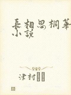 长相思桐华原著小说