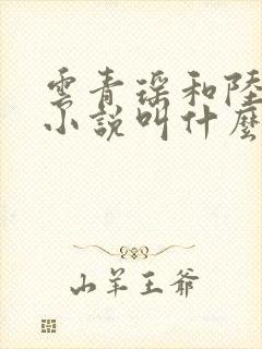 云青瑶和陆仁的小说叫什么名字