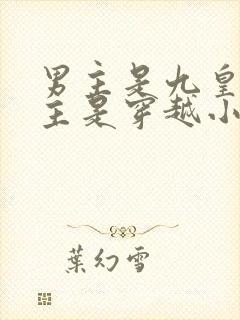 男主是九皇子女主是穿越小说