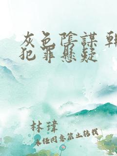 灰色阴谋 韩国犯罪悬疑