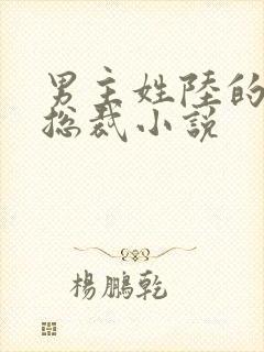 男主姓陆的所有总裁小说