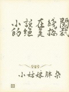 小说在线阅读我的绝美总裁老婆