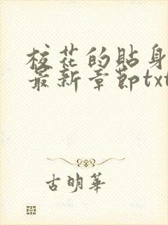 校花的贴身高手最新章节txt下载