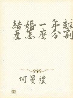 结婚一年离婚财产怎么分割