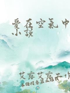 爱在空气中原著小说