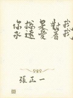 你总是对我说你永远爱着我什么歌