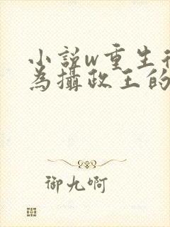小说w重生后成为摄政王的掌心宠》
