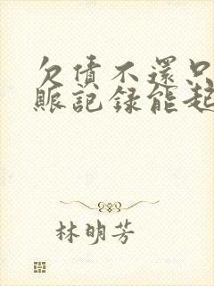 欠债不还只有转账记录能起诉吗?