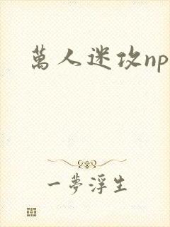 万人迷攻np