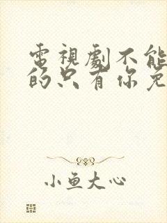 电视剧不能错过的只有你免费观看