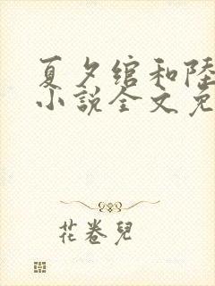 夏夕绾和陆寒霆小说全文免费阅读