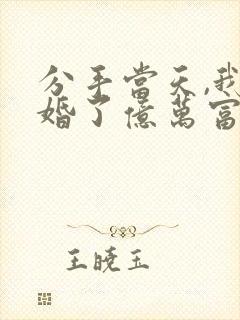 分手当天,我闪婚了亿万富豪小说完整