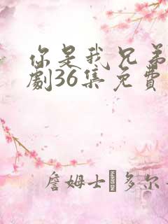 你是我兄弟电视剧36集免费放