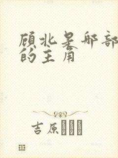 顾北是哪部小说的主角