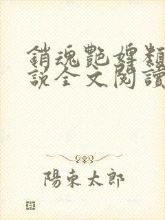 销魂艳婢类似小说全文阅读