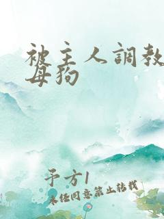 被主人调教成骚母狗