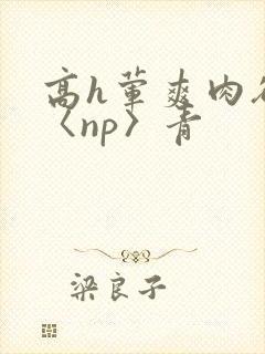 高h荤爽肉欲文〈np〉青