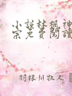 小说林枫神霄剑宗免费阅读