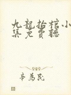 九龙抬棺小说全集免费听