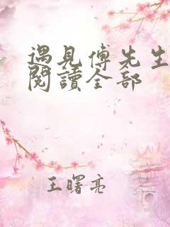 遇见傅先生免费阅读全部