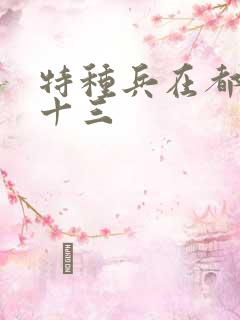 特种兵在都市夜十三