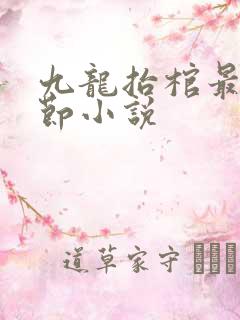 九龙抬棺最新章节小说