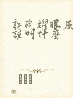 许我耀眼原著小说叫什么