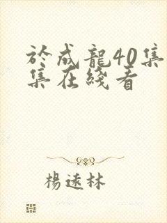 于成龙40集全集在线看