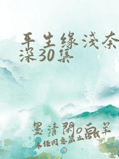 平生缘浅奈何情深30集
