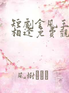 短剧金风玉露一相逢免费观看