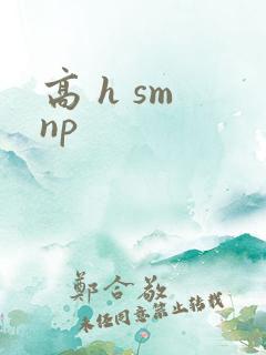 高 h sm np