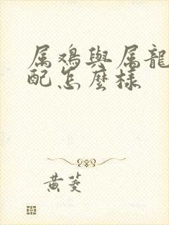 属鸡与属龙的婚配怎么样