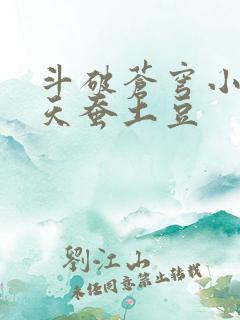 斗破苍穹小说 天蚕土豆