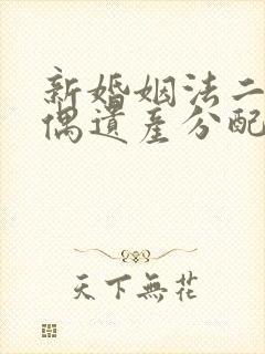 新婚姻法二婚丧偶遗产分配