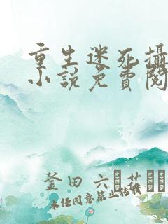 重生迷死摄政王小说免费阅读